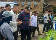 Penanamam Bawang di Kecamatan Sunggal Bupati Dukung Inovasi ASTA DS Sauce Produk Putra Daerah Deli Serdang