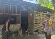 Polsek Pantai Labu Tindak Lanjuti informasi Media Terkait Judi Sabung Ayam