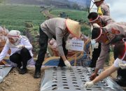 Polri Dukung Swasembada Pangan, Polresta Deli Serdang turut laksanakan Penanaman Bawang Putih Serentak Di 17 Provinsi